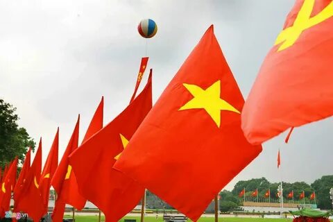 Tiền đạo Brazil lập công, áp sát vị trí số 1 của Tiến Linh_Đào tạo kỹ năng lãnh đạo